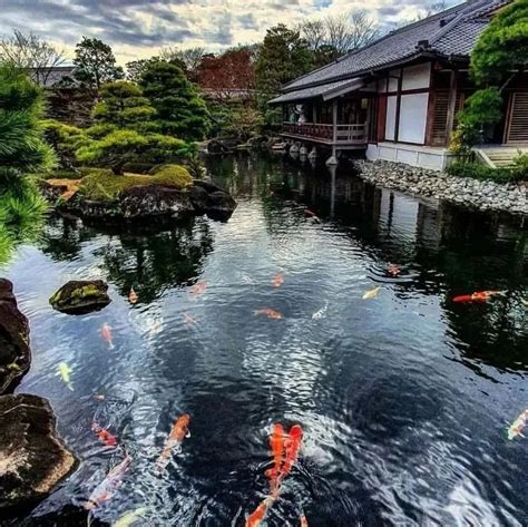 鱼池风水|庭院鱼池建造风水讲究 – 纳福招财的鱼池形状